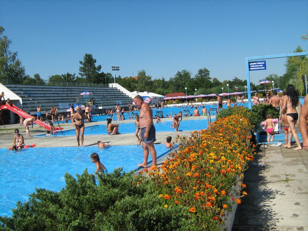 Apartments Domacinstvo Nikolic Valjevo Eksteriør bilde