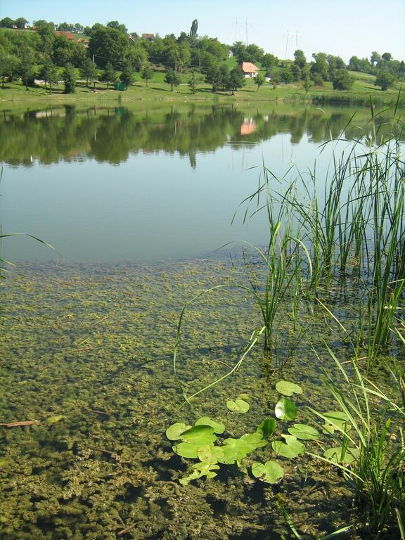 Apartments Domacinstvo Nikolic Valjevo Eksteriør bilde
